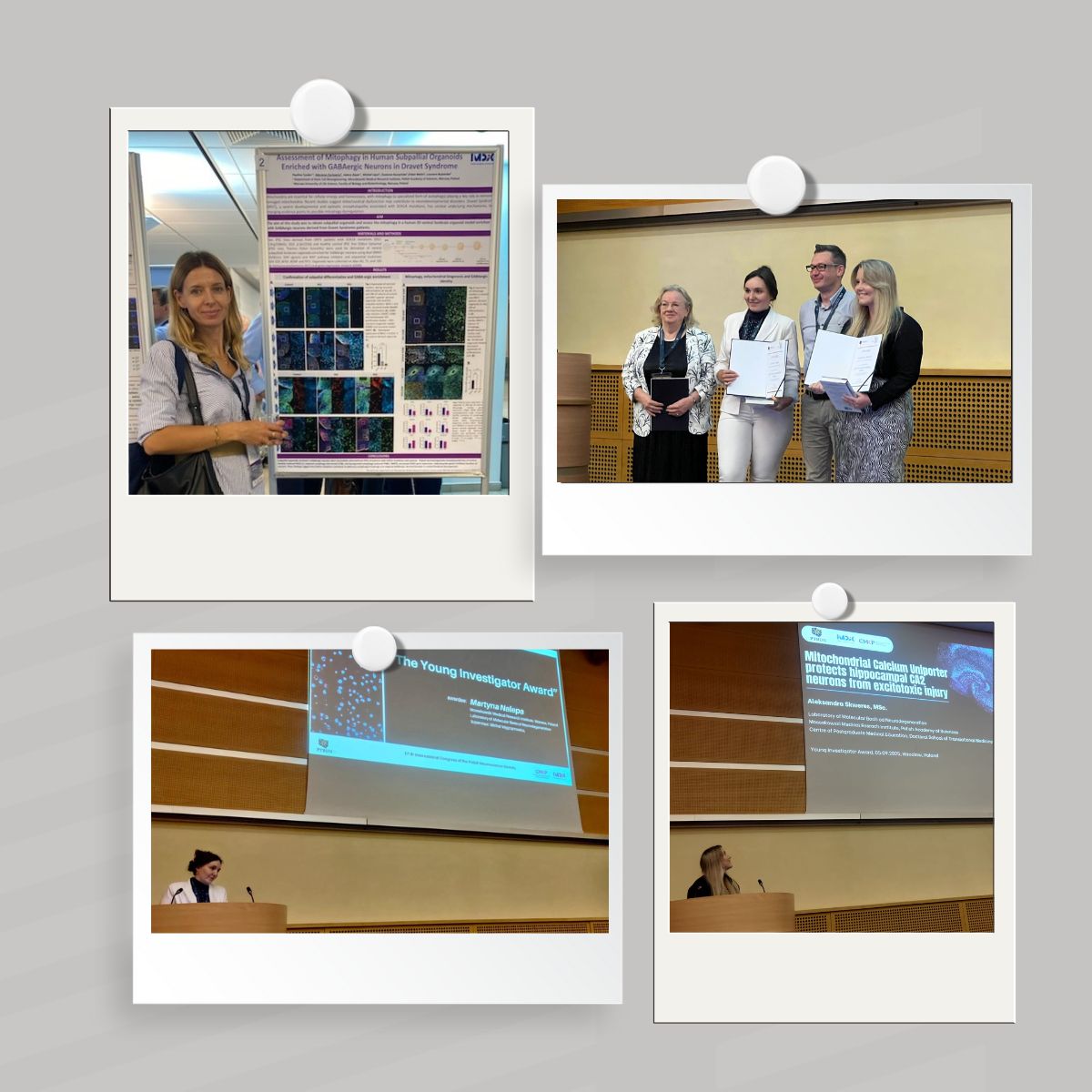 Kongres BT BUN kolaż 1